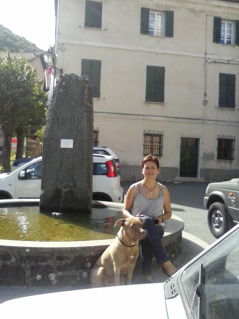 dog-sitter al michea aec076eb-096c-404b-8e49-d79b4d34f466