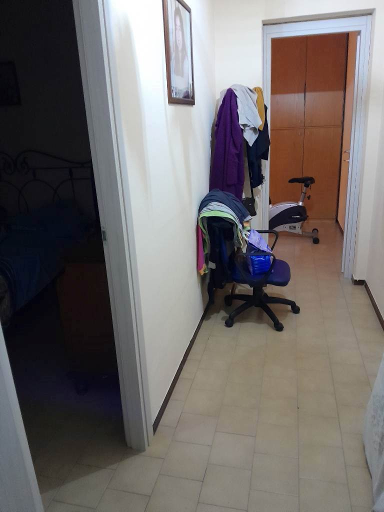 dog-sitter na nunzia 93dc5e64-fec6-49ee-bbcb-32f230f7f0ee