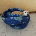 https://it.holidog.com/ImagesPetSitters/0A7B630F-1C40-4523-AACF-47FD2E93BDF8_square_120.jpg Educatrice-e-Vacanze-in-compagnia-70292-0