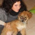 https://it.holidog.com/ImagesPetSitters/0E87B4B7-7305-4A9D-AE0F-1D9A59EF19C3_square_120.jpg pet-lover-33842-3