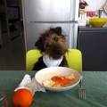 https://it.holidog.com/ImagesPetSitters/0E927F44-02CA-444C-9D50-96527B605716_square_120.jpg Amici-a-quattro-zampe-108156-2