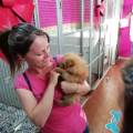 https://it.holidog.com/ImagesPetSitters/101E4EF2-A3B2-4FDE-AFEC-FFCE42FC0824_square_120.jpg A-spasso-con-Miky-155805-0