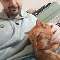 Servizio-di-Pet-Sitting-a-Padova-😻-393294-0