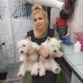 https://it.holidog.com/ImagesPetSitters/18BDDE6D-E3EA-44CC-A076-887CB3E27178_square_120.jpg coccole-per-il-tuo-amico-a-4-zampe-367803-0