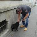 https://it.holidog.com/ImagesPetSitters/1ADC81B6-414C-4CBB-8C1D-09ECAADB1DCD_square_120.jpg L'Amico-giusto-x-il-Tuo-cane-33377-0