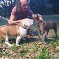 Sacro-spazio-ANIMAle-375807-0