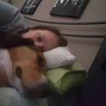 https://it.holidog.com/ImagesPetSitters/260103A5-E0BB-4921-A526-678C6DF9689E_square_120.jpg amore-per-gli-animali-127176-0