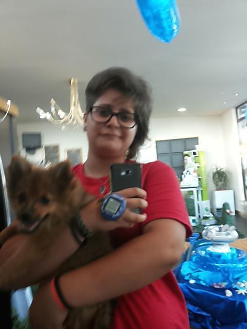 dog-sitter rc giorgia 60be8d4a-a7cc-41be-aa91-2c4a08645426