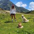 Qui-i-tuoi-cani-sono-di-famiglia-392755-0