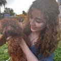 petsitter stranger