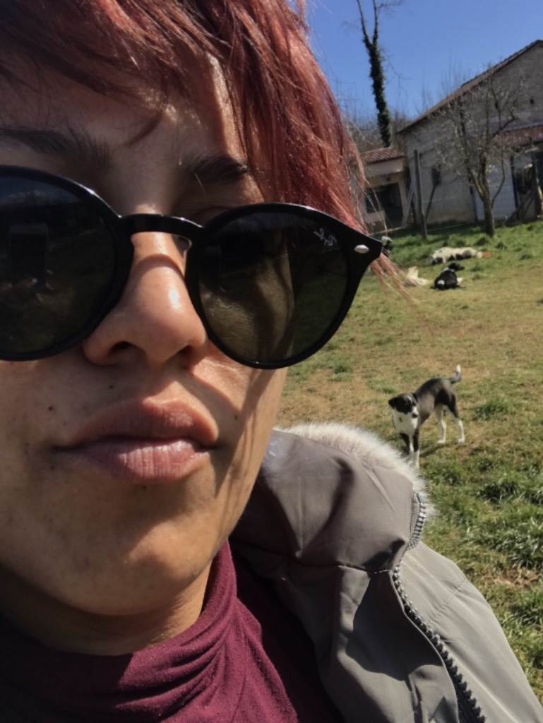 dog-sitter sa katrine 96a33eb5-006a-4e4c-a548-f029fafb1189