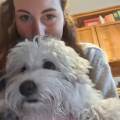 https://it.holidog.com/ImagesPetSitters/2A01E904-739A-4CC6-BE1A-4C5447AE77C8_square_120.jpg Dog-sitter-e-addestratrice-cinofila-370429-2
