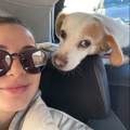 Petsitter-con-il-cuore-374956-0