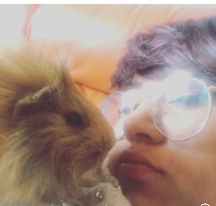 dog-sitter sa katrine 5c38c83b-a463-4090-befe-a829ca3f9804