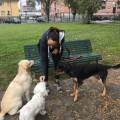 Dogsitter-Professionale-10695-0