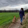 https://it.holidog.com/ImagesPetSitters/3385E0A5-E83B-4BCC-8781-734E20ED41F2_square_120.jpg Affidabile-ed-Affettuosa-Pet-Sitter-369548-0