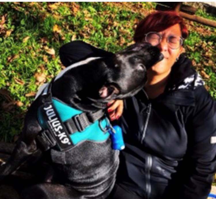 dog-sitter sa katrine 1be1159c-a71d-4a17-aacc-b0a962cd23e9