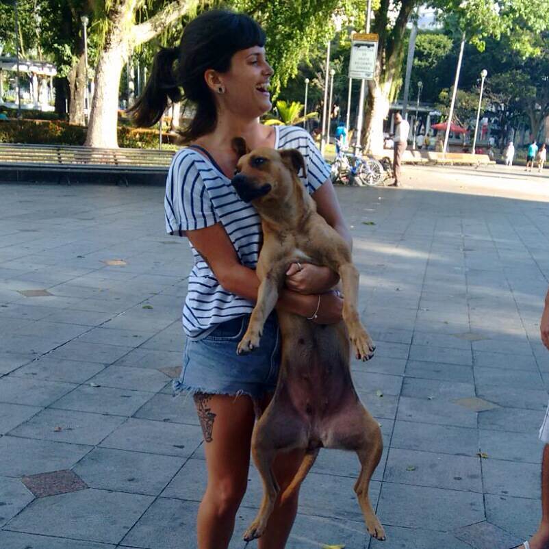 dog-sitter to adele 311fc371-7a0a-42dd-b349-fb29963638ee