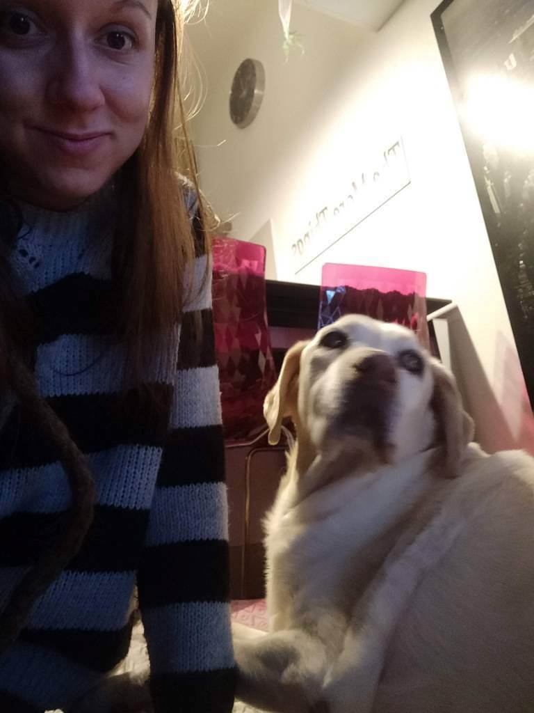 dog-sitter bz tononi 481055d5-7ba2-43e1-93d0-7133742ae096