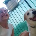 Pet-sitter-Milano-sud-est-398865-3
