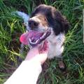 https://it.holidog.com/ImagesPetSitters/41FBC221-ECC1-4F45-AE43-8ADBE2E56F9F_square_120.jpg 118291-2