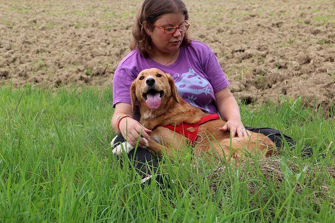 dog-sitter al mara 39459194-c0a2-4ca9-9934-b7bd29d2e413