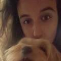 petsitter stranger