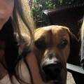 Amore-a-quattro-zampe🐾-392273-1