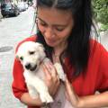 dog-sitter to rossella 5867df36-a648-49f0-bf48-85c0cd01ae4d