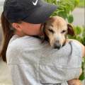 https://it.holidog.com/ImagesPetSitters/50D43E76-4A8D-4CDA-A30E-5D1097E9BE53_square_120.jpg Сura-responsabile-del-cane-393072-3