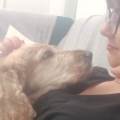 https://it.holidog.com/ImagesPetSitters/51C5C23F-E7BC-42DE-A54F-B5170577A948_square_120.jpg Relax-e-aria-aperta-288221-3
