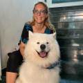 petsitter stranger