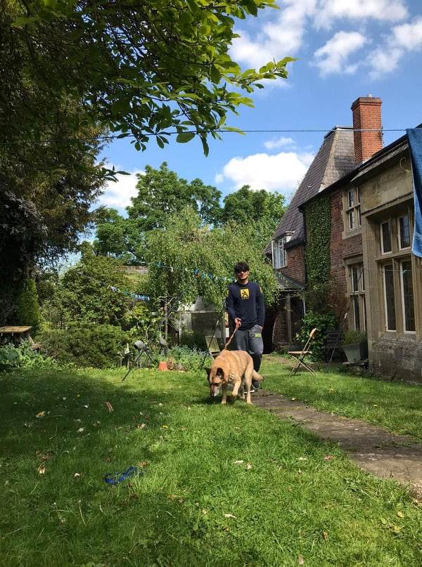 dog-sitter ct enzo ee4d9e13-d1e7-4da1-8029-af2bf438e9ed