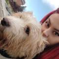 https://it.holidog.com/ImagesPetSitters/532F414E-B9E8-4D40-BC2C-0330D9A23C21_square_120.jpg Passeggiata-cane-367810-0