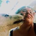 Dog-sitter-con-certificazione-380393-0