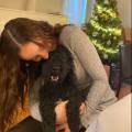 https://it.holidog.com/ImagesPetSitters/5B60D5BB-D843-4B8C-9F83-1CB01A85B295_square_120.jpg Dogsitter-amorevole--374164-0