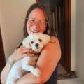 petsitter stranger
