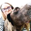 Pet-sitter-a-domicilio-401894-0