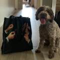 Dog-sitter-a-Gussago!-387557-1