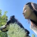 Dogsitter--💚-416733-0