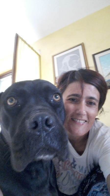 dog-sitter mi daniela 8a95a003-7b24-4721-84a9-12f98c2acd31