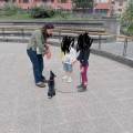 https://it.holidog.com/ImagesPetSitters/74FBA8B7-5C04-4A0A-8EC3-22AE5EA75A0B_square_120.jpg Amore-a-più-zampe-393256-0
