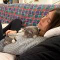 petsitter stranger
