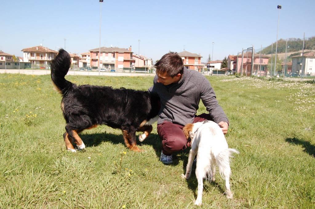 dog-sitter pu alex a9b164d5-fb2d-4721-8f6f-2996f9f86bb7