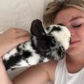 Coccole-e-amore-380387-1