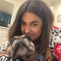 dog-sitter ct giulia 31194bb6-f54f-41d0-af57-93162909c81d