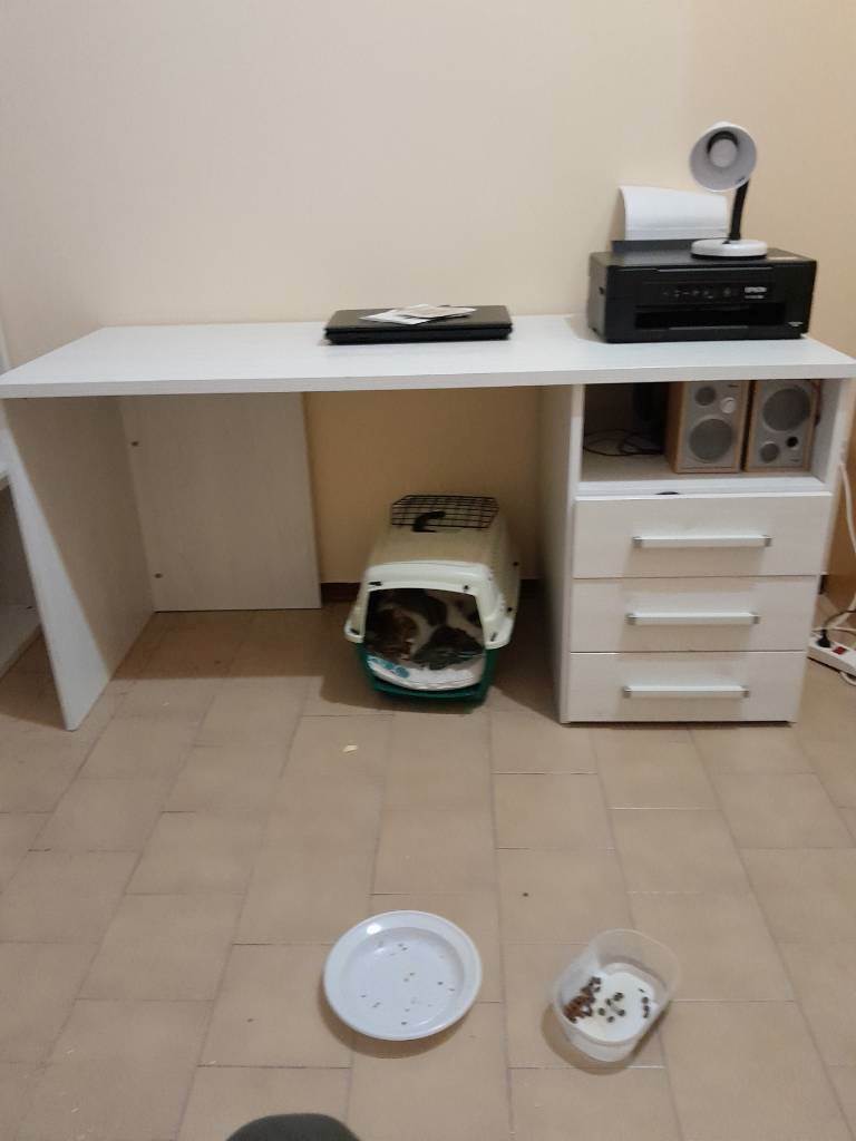 dog-sitter na nunzia 12a09961-77af-4dbf-9643-8be5bb1943b4