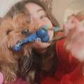 https://it.holidog.com/ImagesPetSitters/84D7D946-6FB0-4AC9-9C19-0CCBEA4E28AD_square_120.jpg Amica-degli-animali-189553-0