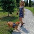 https://it.holidog.com/ImagesPetSitters/8B384D3F-AF0D-4ABA-93B6-D7A9E44E0A40_square_120.jpg Pet-sitter-affidabile-ed-empatica.-373089-1