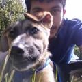 Giovane-dog-sitter-12602-0